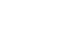 Vivus Logo